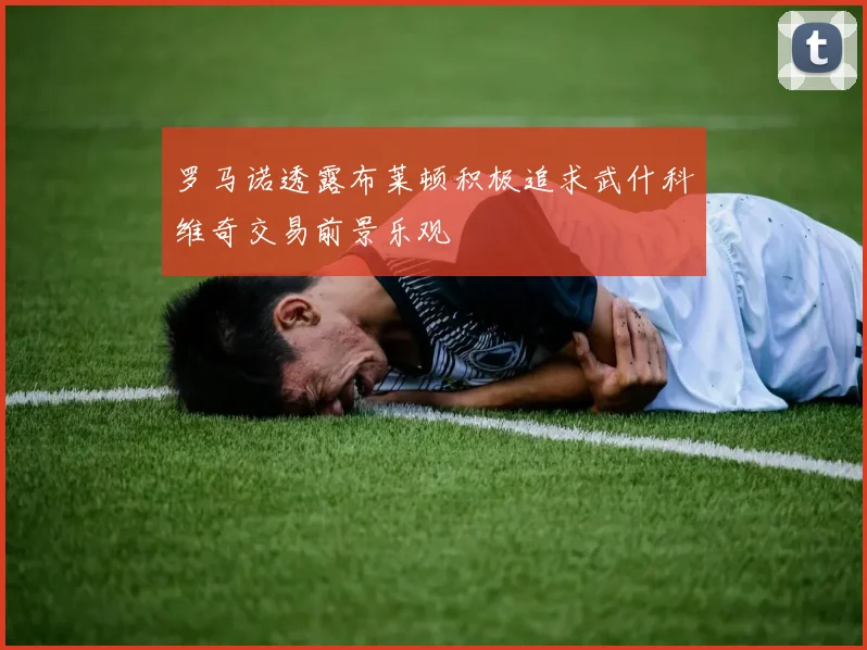 罗马诺透露布莱顿积极追求武什科维奇交易前景乐观